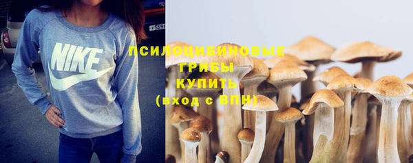 прущие крисы Бугульма