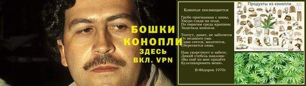 гидропоника Богданович
