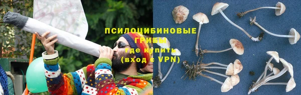 гидропоника Богданович