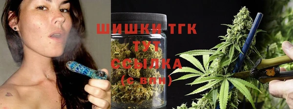 гидропоника Бородино