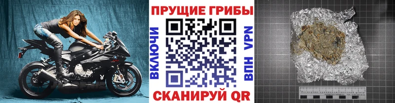 Галлюциногенные грибы прущие грибы  Валуйки 