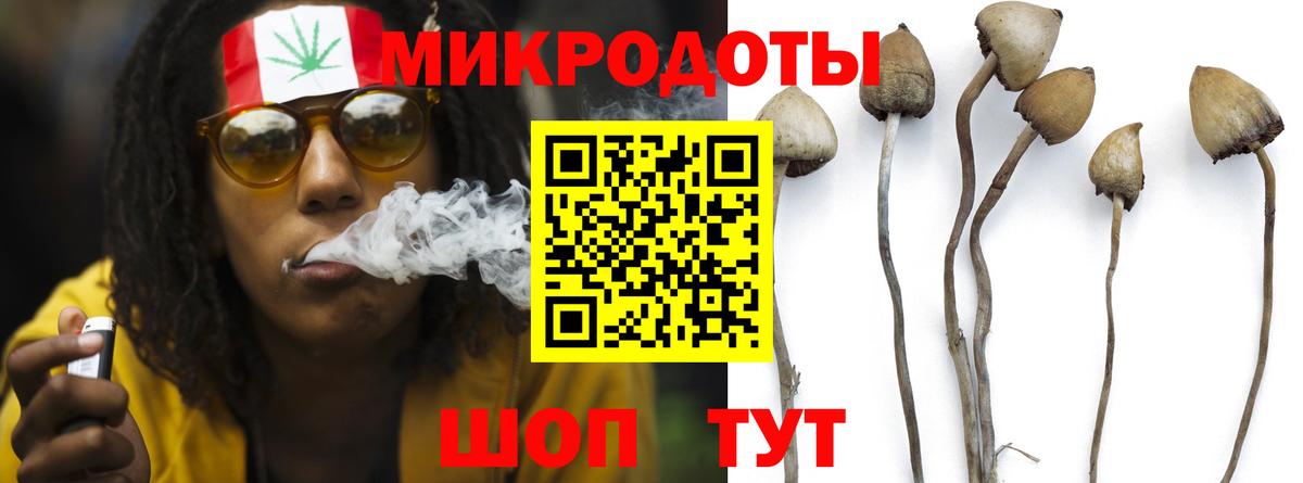 Валуйки  Псилоцибиновые грибы мицелий  Вход с VPN 
